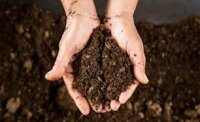 Be a soil scientist